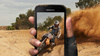 Samsung Galaxy Xcover 4S 3/32GB LTE | G398FN/DS | Czarny | Stan: Idealny