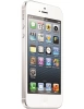 Apple iPhone 5 64GB LTE White smartphone | Condition: Good